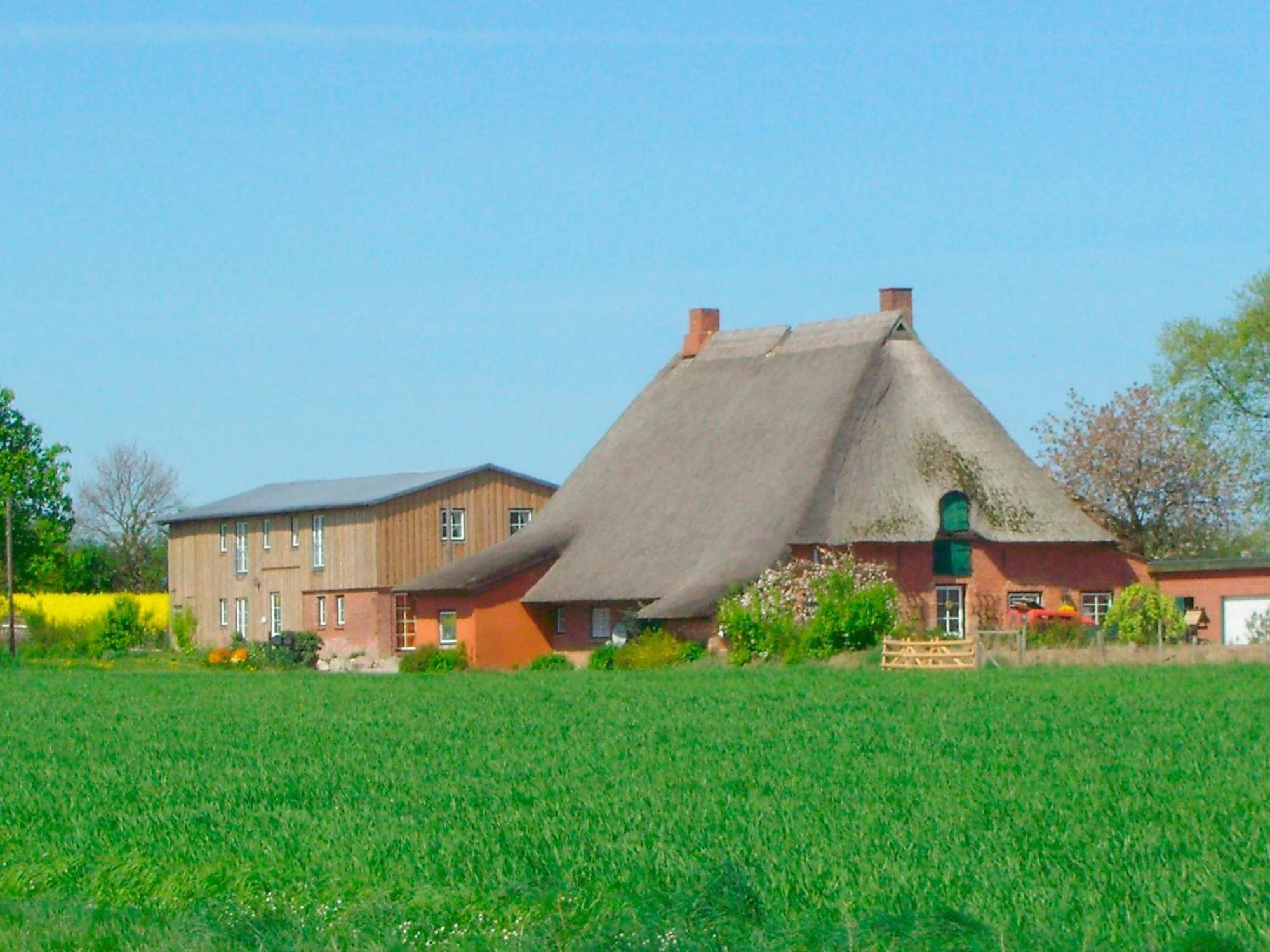 "Hof Triangel - Whg 2" - Bauernhofurlaub Lejlighed Riepsdorf Eksteriør billede